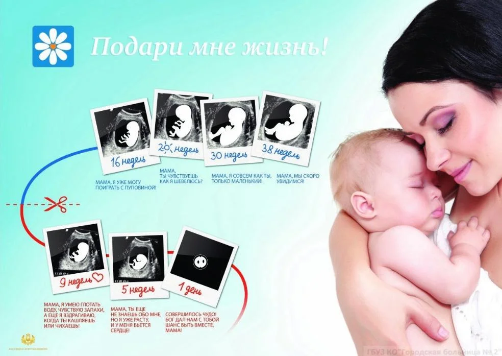 День семьи, любви и верности: акция "Подари мне жизнь!"