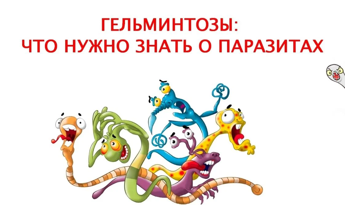 Гельминтозы: что нужно знать о паразитах