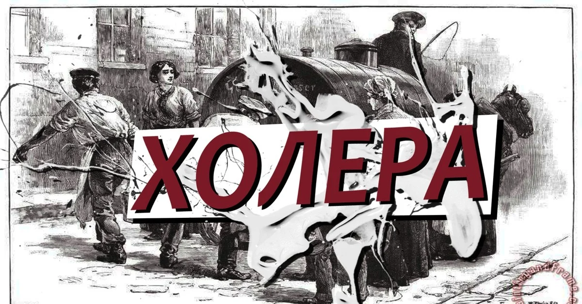 Холера под контролем!