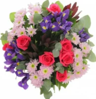 Дорогие, милые женщины!