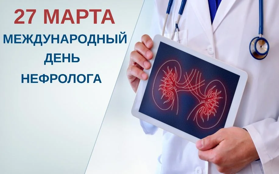 27 марта-международный день нефролога