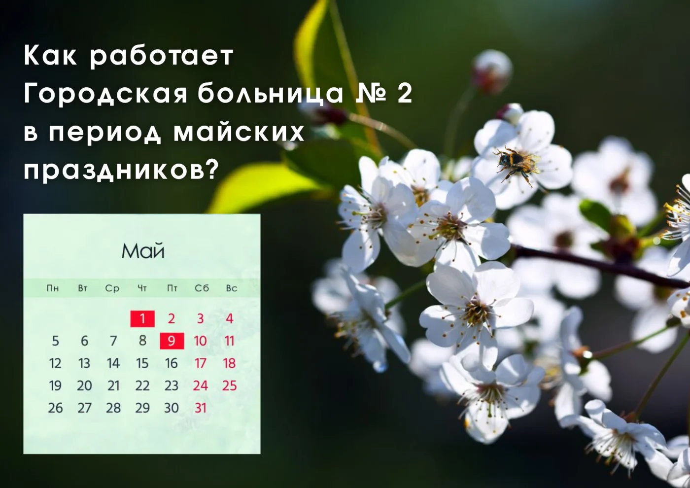 Как работает Городская больница № 2 в период майских праздников