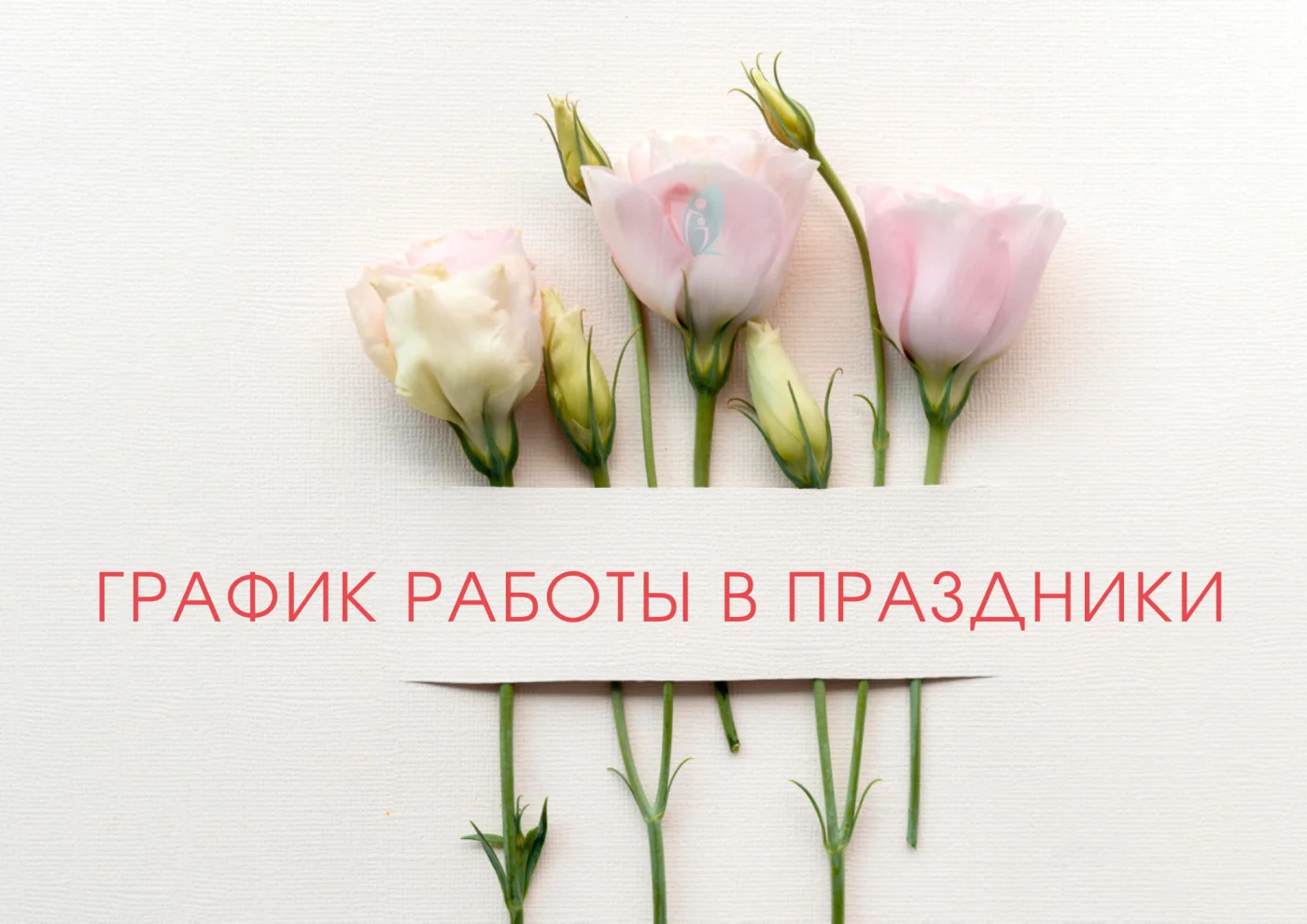 Как работает Городская больница № 2 в праздничные дни