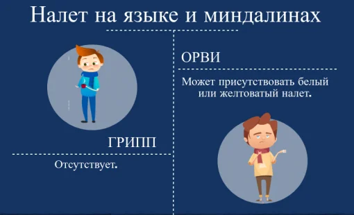 otlichie ot gripa_6.png