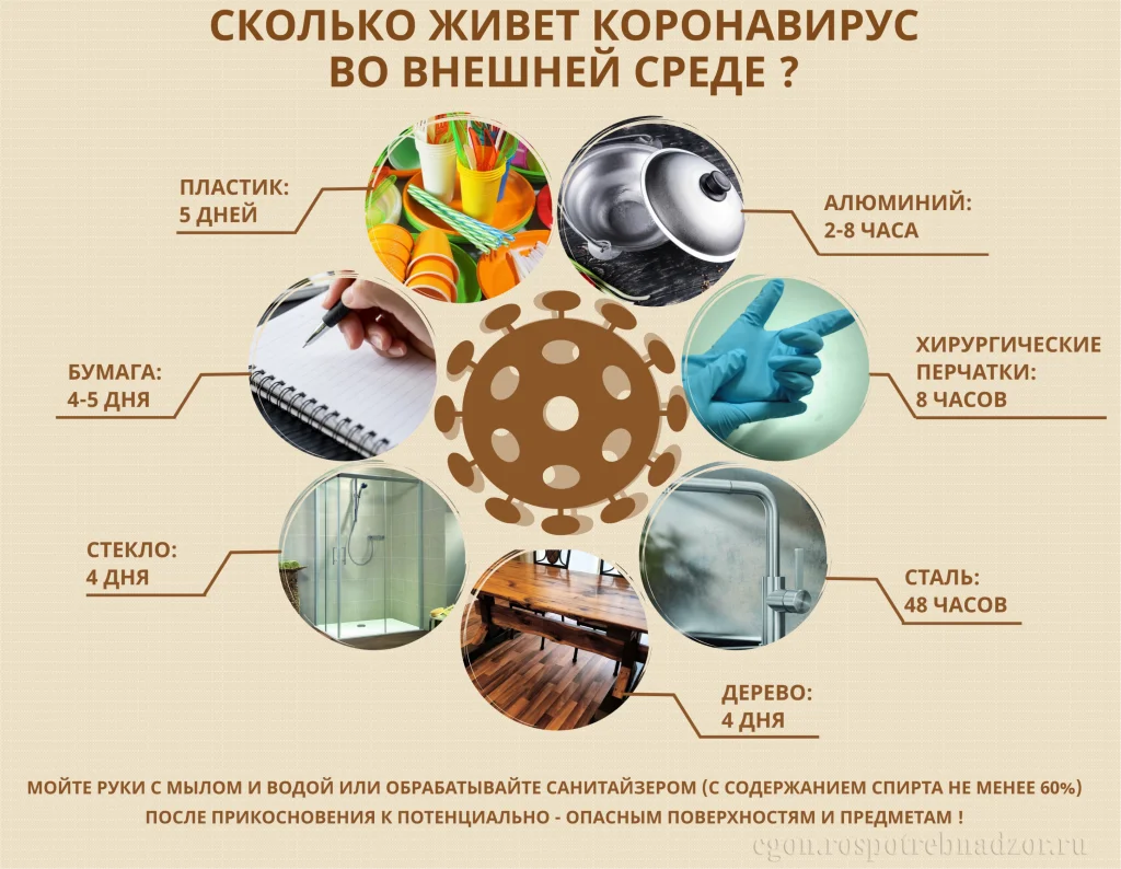 Сколько живет коронавирус.png Сколько живет коронавирус.png