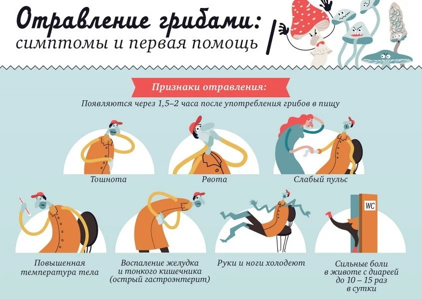 Отравления_грибами_1.jpg