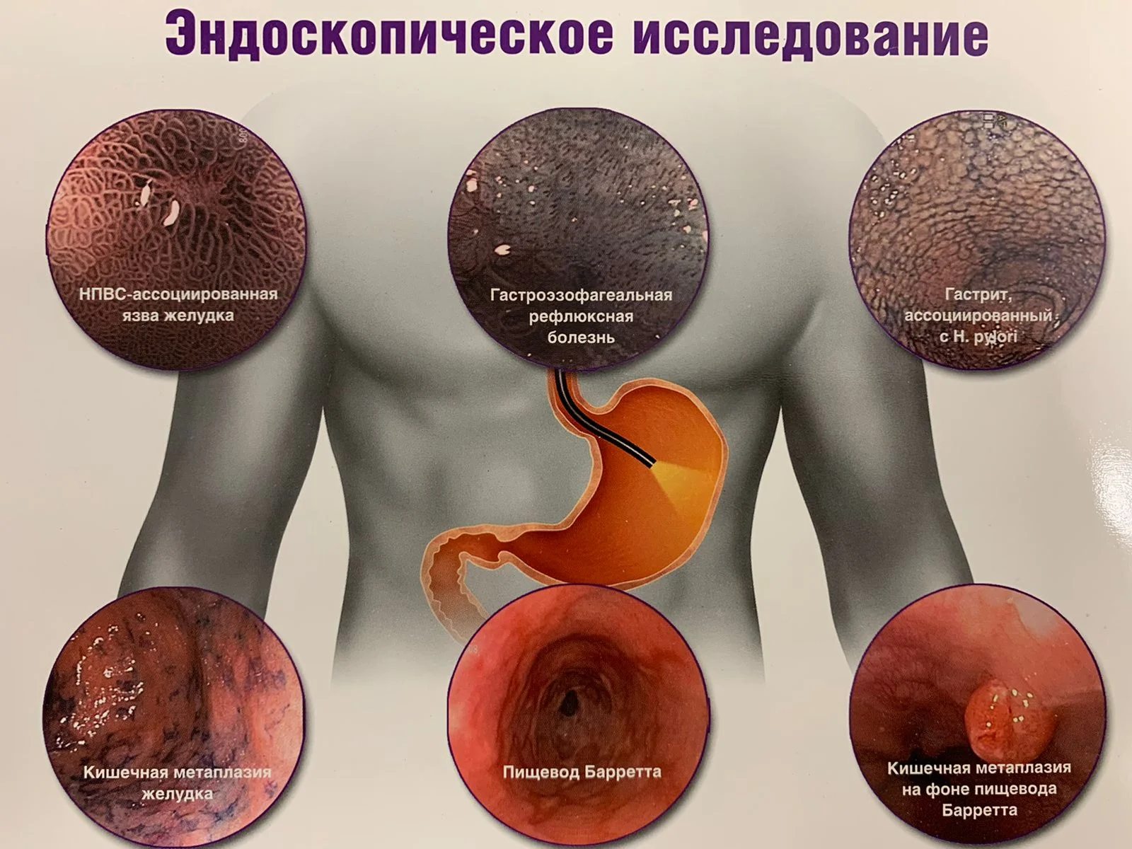 WhatsApp Image 2022-08-03 at 09.50.43.jpeg