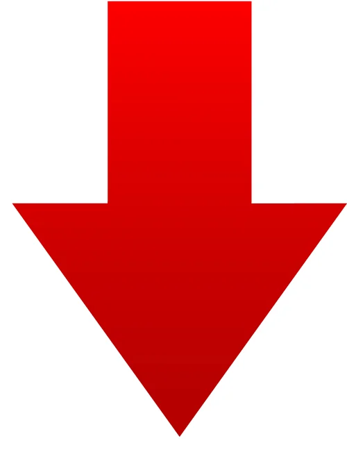 31424999.png