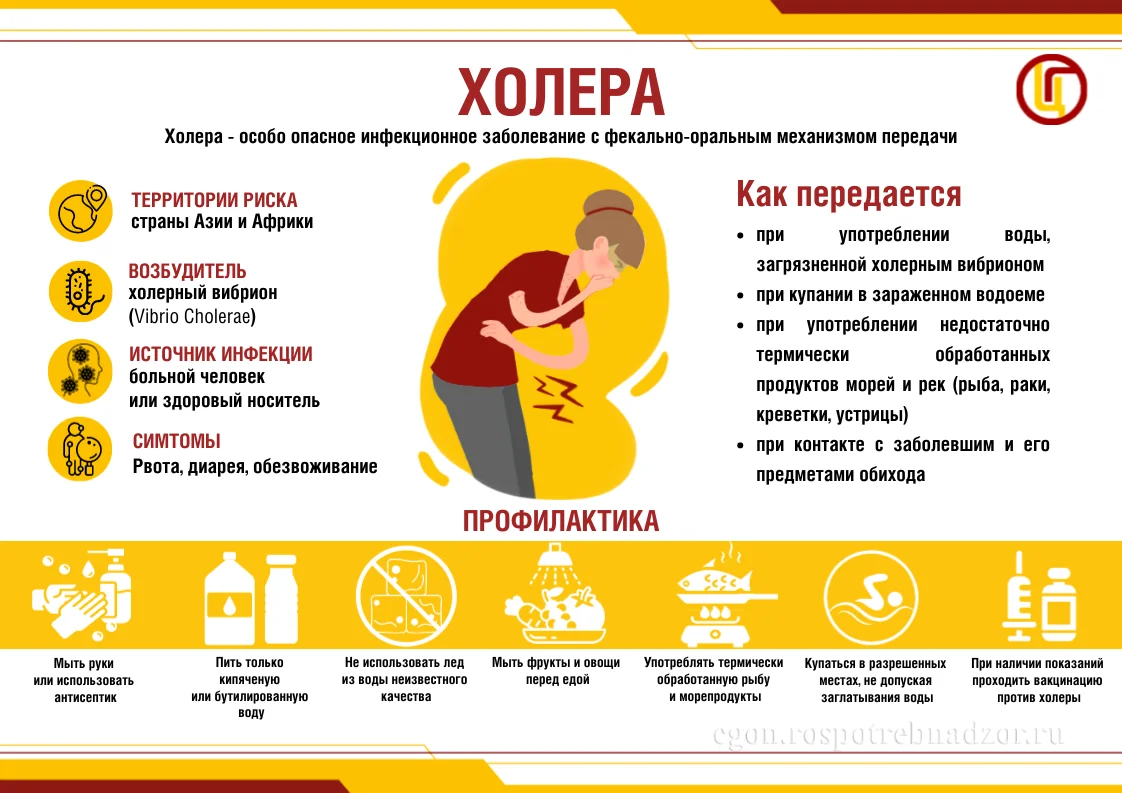 Холера.png