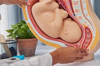 В Гурьевском муниципальном округе начал работу новый «Кабинет женского репродуктивного здоровья»