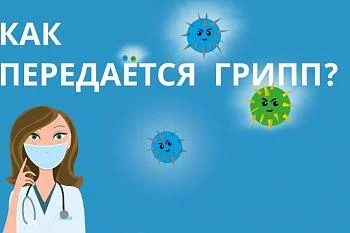 Как передается грипп?
