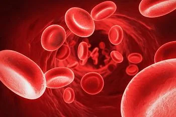 Когда необходимо обращаться к врачу-гематологу?