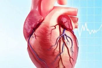 Кому стоит бояться инфекционного эндокардита?