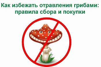 О мерах профилактики отравления грибами