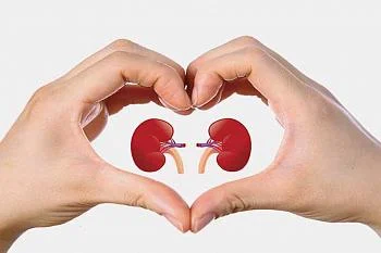 14 марта - Всемирный день почки