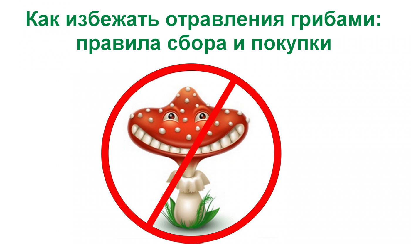 Плакат осторожно ядовитые грибы